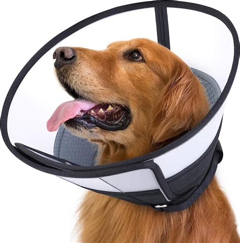 Amazon Collar De Cono Para Perros Despu S De La Cirug A Cono