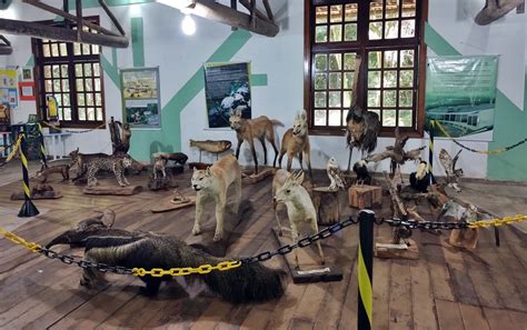 Zoológico de Varginha ganha espaço o Museu dos Animais aberto a