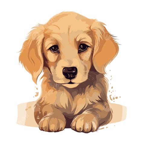 Golden Retriever Puppy Clipart Golden Retriever Puppy Cartoon Vector ...