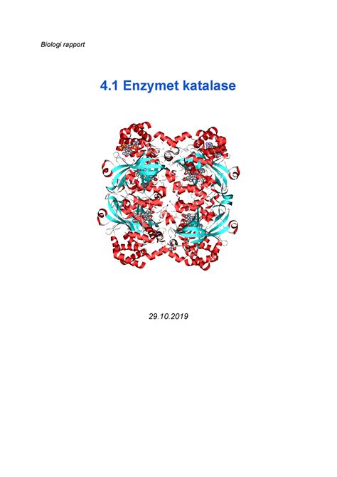 41 Enzymet Katalase 3 Biologi Rapport 4 Enzymet Katalase 29 Hensikt Hensikten Med Dette