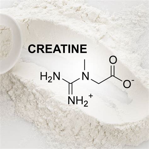 Best Protein Powders With Creatine A Lean Life