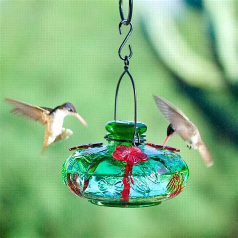 Decorative Glass Hummingbird Feeders Backyard Bird Centre