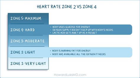 Zone 2 Heart Rate Training For Longevity And Performance