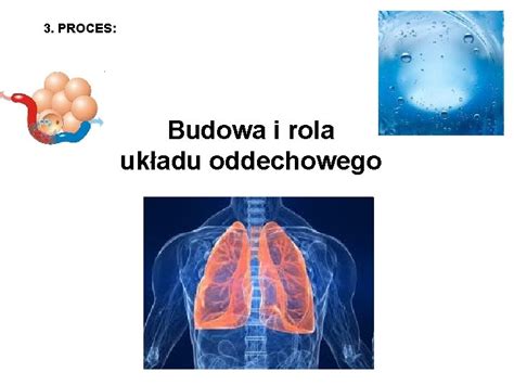 TOPIC BUDOWA I FUNKCJONOWANIE UKADU ODDECHOWEGO SPIS TRECI