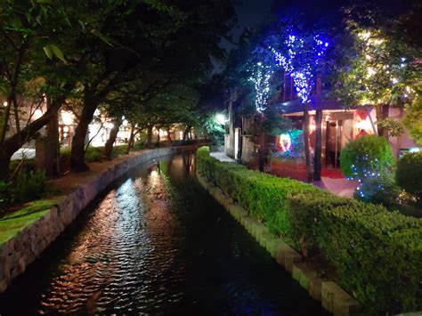 Kyoto Nightlife : r/japanpics