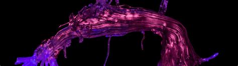 Science Hidden To The Naked Eye King S College London