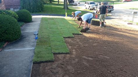 Zoysia Sod Installation