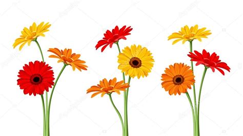 Gerber Daisy Border Clip Art