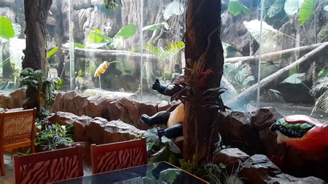 Jungle Resto Pohon Inn Batu Malang Youtube