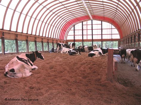 Looking For An Alternative Shelter To Producing Dairy Cows Hoop Barns