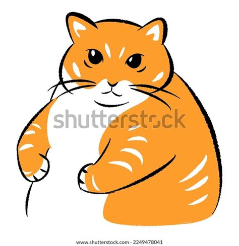 fat orange cats stock   images shutterstock