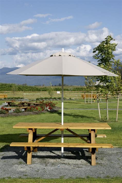 Picnic Table Umbrella stock image. Image of area, environment - 16007745