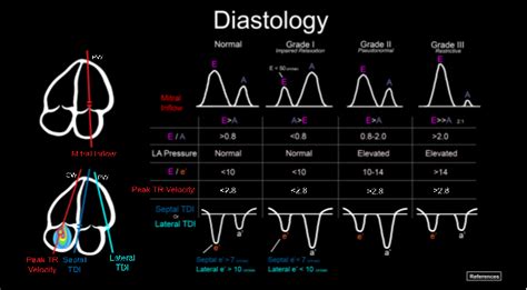 From The Chair Em Ultrasound Section