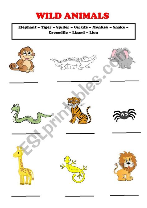 Wild Animals Esl Worksheet By Pboynik