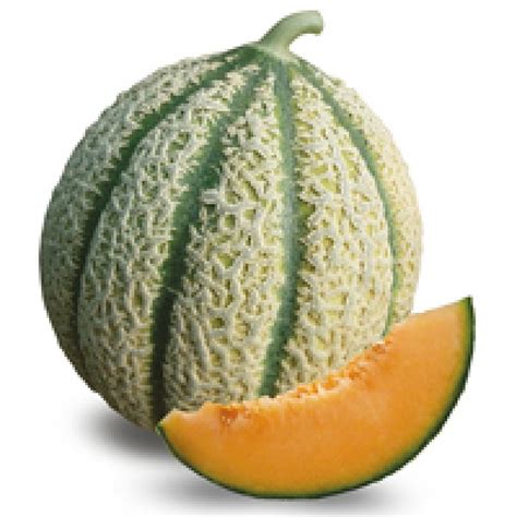 Seminis Products