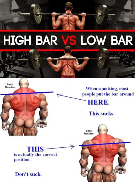 HIGH BAR VS LOW BAR SQUATS THE MAIN DIFFERENCES