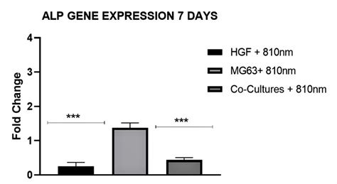 Alp Gene Expression Of All Irradiated Experimental Groups In 7 Days Download Scientific Diagram