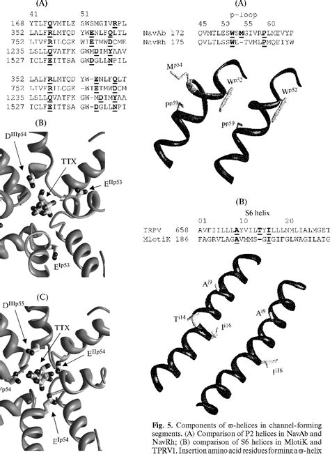 Figure From Comparative And Ontogenic Biochemistry Molecular