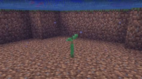 Minecraft Mangrove Tree Guide All Known Information Try Hard Guides