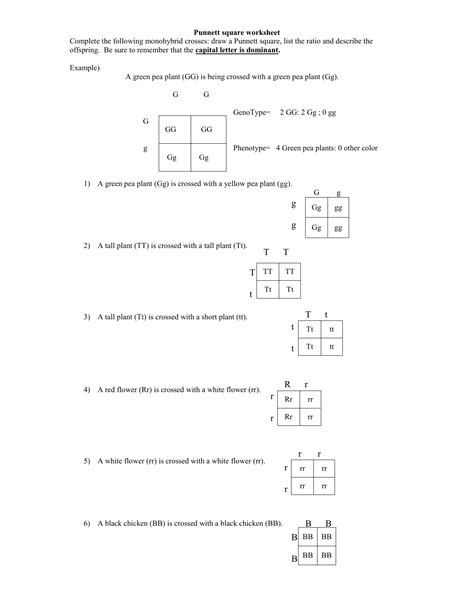 Punnett Square Worksheets Answer Key