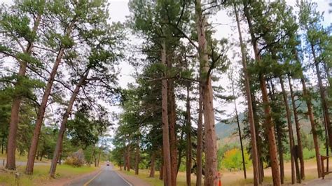 Una carretera con un árbol y un coche circulando por la carretera