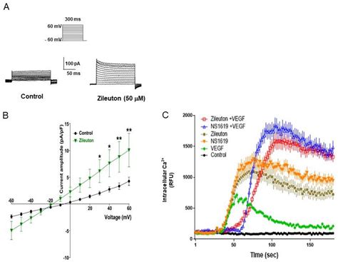 Cells Free Full Text Zileuton A 5 Lipoxygenase Inhibitor Exerts