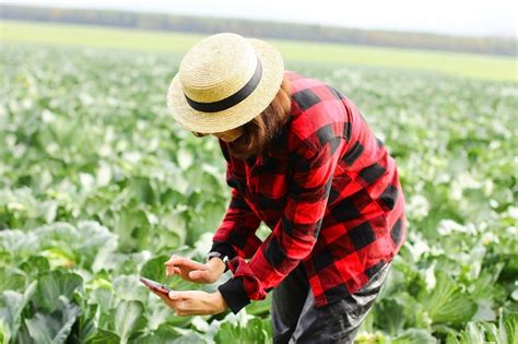 Atividades De Jardinagem E Agricultura Durante A Poca De Colheita O