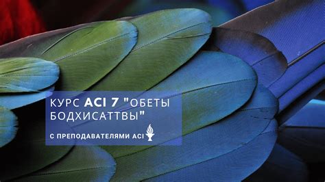 aci   akademiya klassicheskoy mudrosti