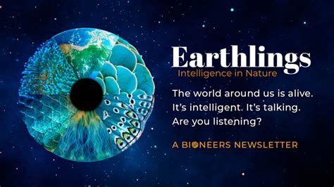 Earthing Newsletter Archive Bioneers