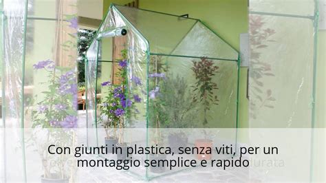 Serra Clematis AzimuthShop YouTube