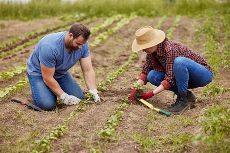 O Que Significa Agricultores - Agricultores plantando plantas juntos em uma fazenda ou jardim orgânico ...