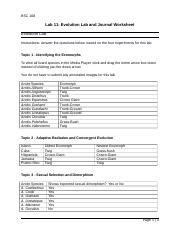 Lab Docx Bsc Lab Evolution Lab And Journal Worksheet