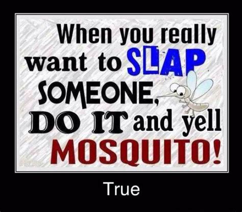 When You Really Want To Slap Someone Do It And Yell Mosquito