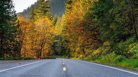 Here's when western Washington can expect peak fall foliage | king5.com