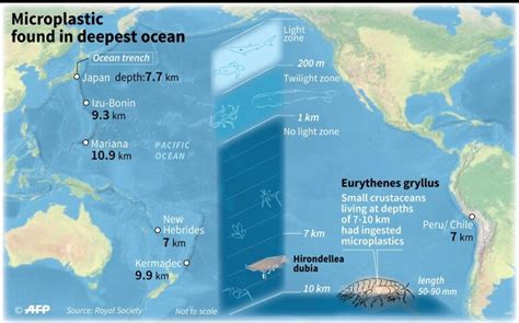 Deepest Part Of The Ocean Map Journey To Bottom Of The Ocean Ppt