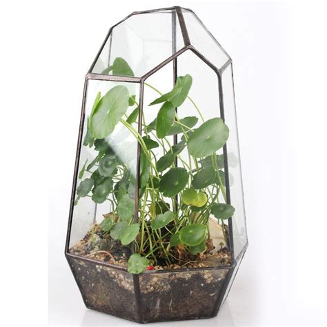 Terrarium Geom Trique Hanging Glass Terrarium Terrarium Containers