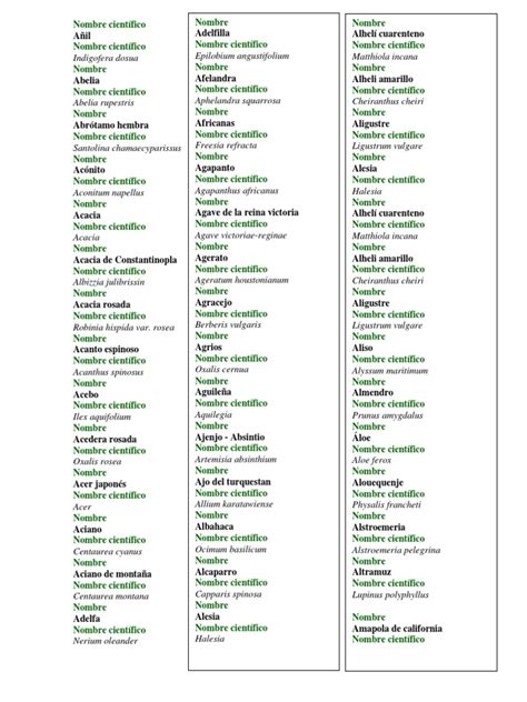 Nombre Científico Plantas Ornamentales Pdf Plantas Plantas De Jardín