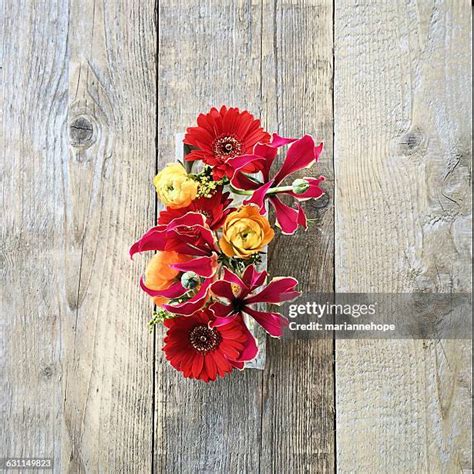 2471 Flower Vase Top View Stock Photos High Res Pictures And Images