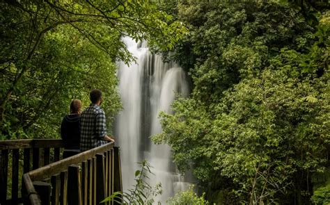 Discover the Breathtaking Waikato Waterfalls - WaikatoNZ