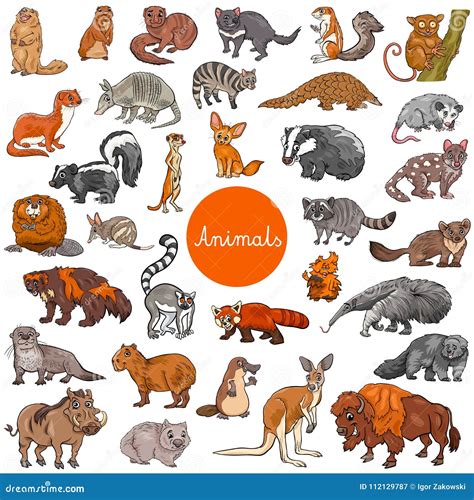 Wild Mammals Animal Characters Big Set Cartoon Vector | CartoonDealer ...