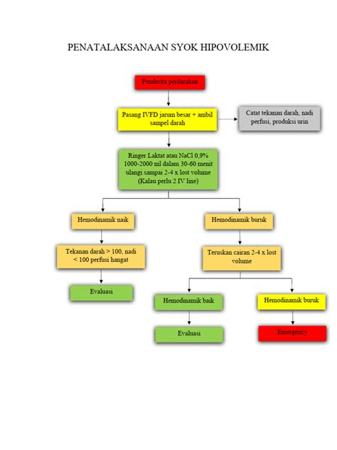 Penatalaksanaan Syok Hipovolemik Pdf