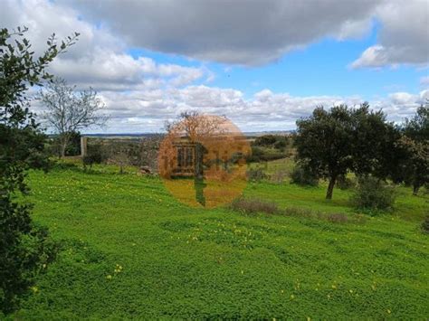 Terreno Venda Em Alcoutim E Pereiro Alcoutim Idealista