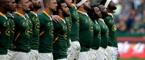 Nienaber names latest Springbok squad - Super Rugby Pacific