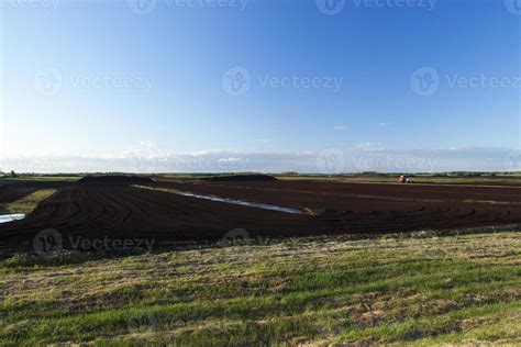 peat bog, summer 9412197 Stock Photo at Vecteezy