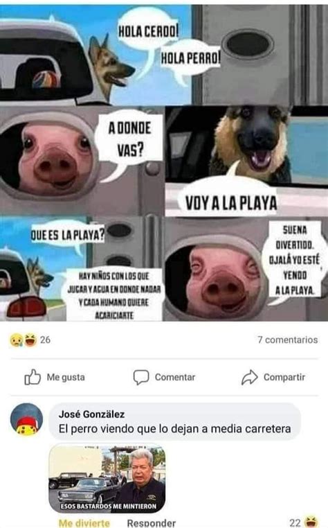 Pin De ່ En Jajagsyxfxfshofkgmhckyexyighmdxtxjsd Ehcrgqhnfrjxd En 2024 Memes Nuevos Imagenes