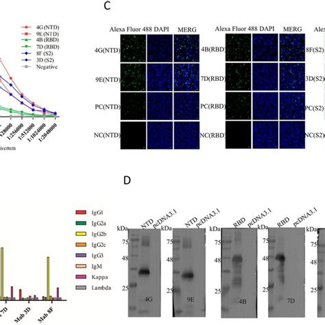 Alanine Scanning Mutation Was Used To Identify The Key Amino Acid Sites