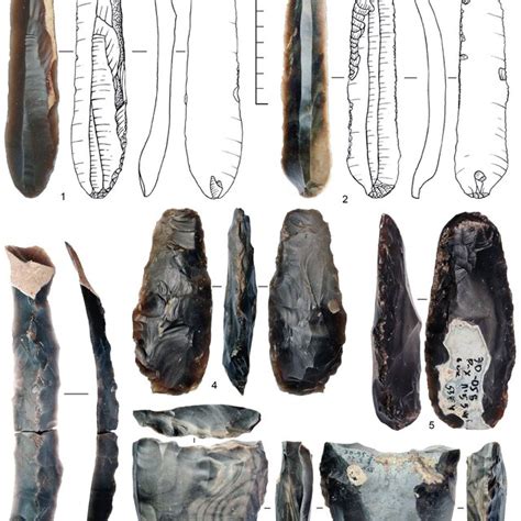 Hunting Tools Made Of The Dniester Flint In Materials From The Bodaki