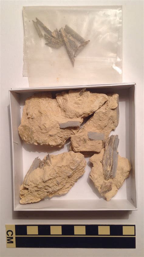 Travelers react to these amazing facts about Kansas during trips 12