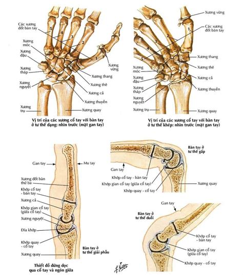 Chấn Thương Cổ Tay Bvntp