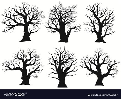 Tree silhouette black bare oak outline detailed Vector Image